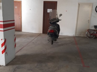 MINI 20250227_092131