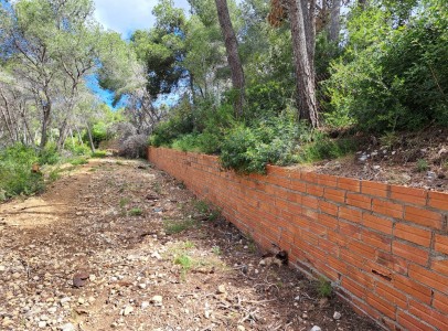 IMG-20250428-WA0007