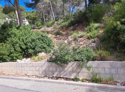 IMG-20250428-WA0009