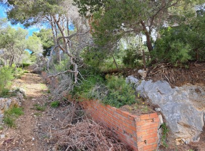 IMG-20250428-WA0011