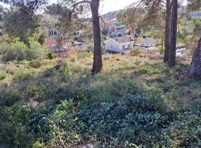 IMG-20260211-WA0002