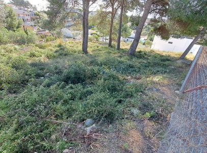 IMG-20260211-WA0004